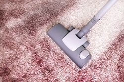 W1 Carpet Cleaning Pimlico