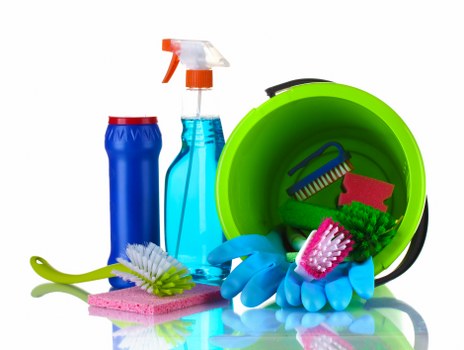 Professional carpets cleaner in Pimlico deep cleaning a residential carpet