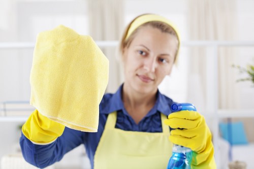 Professional one off cleaning in Pimlico for a fresh home reset