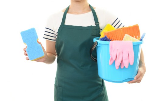 Professional carpet cleaner in Pimlico treating a home carpet