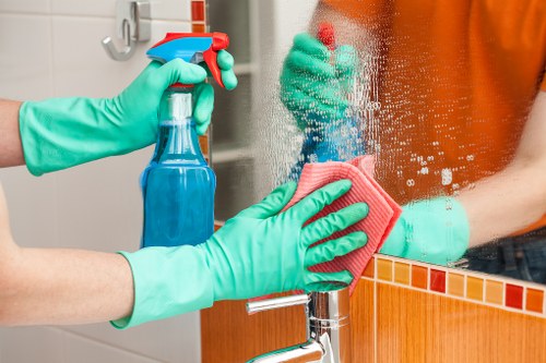 Living room cleaning in a Pimlico home