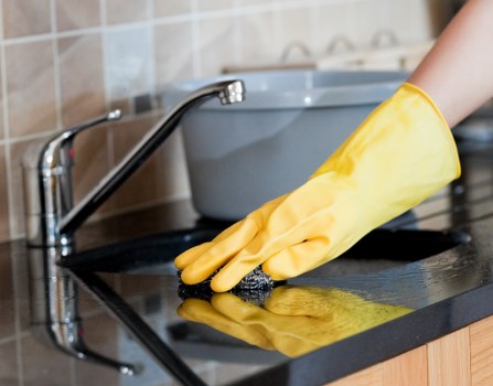 Professional Pimlico cleaners working in a bright residential interior