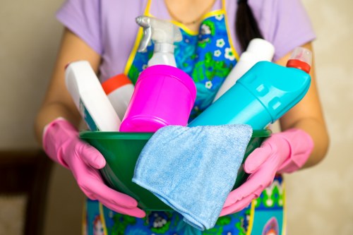 Customer complaint being recorded for a cleaning service review