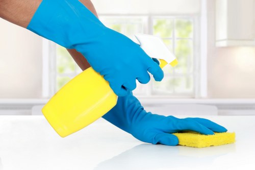 Professional cleaner beginning a detailed cleaning service in Pimlico