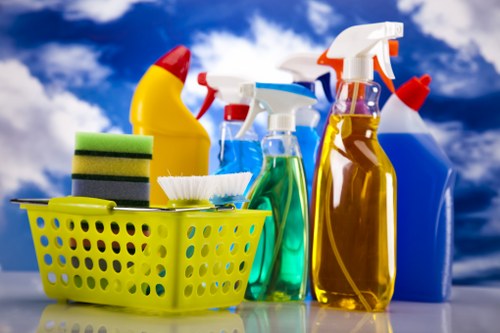 Cleaner in Pimlico providing professional domestic cleaning