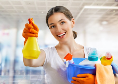 Reliable domestic cleaning in Pimlico for period properties and modern flats