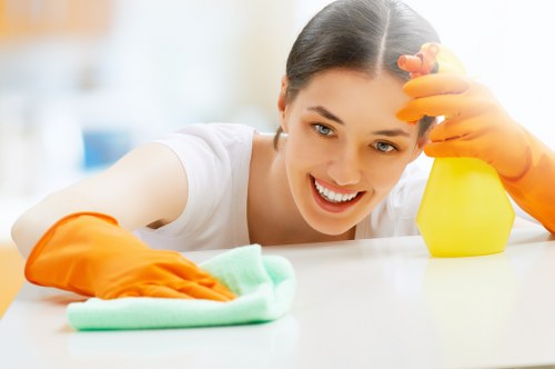 Professional domestic cleaning in Pimlico with kitchen and bathroom care