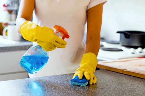Reliable cleaners in Pimlico providing flexible household support
