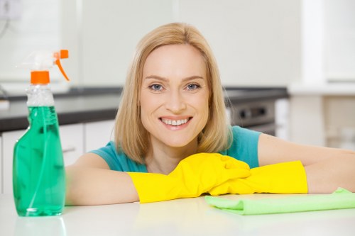 Mobile-friendly accessible cleaning information for Pimlico users