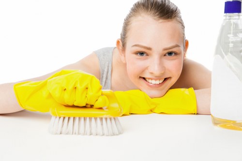 Residential cleaning service in a Pimlico home