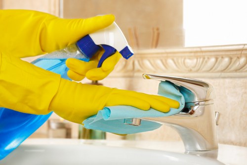 Detailed cleaning services in Pimlico for homes and offices