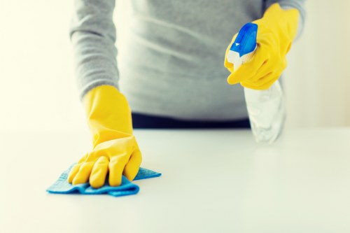 Deep carpet cleaning equipment in a Pimlico apartment
