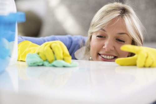 Clean and organised Pimlico home interior after regular domestic cleaning