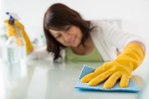 Pimlico Cleaners team focusing on careful and reliable property cleaning