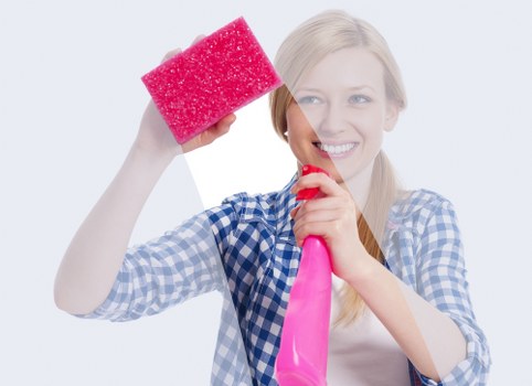 Carpet cleaning equipment used by a Pimlico cleaning specialist