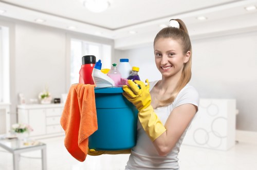 Pimlico Cleaners delivering a high-standard cleaning result in a fresh environment