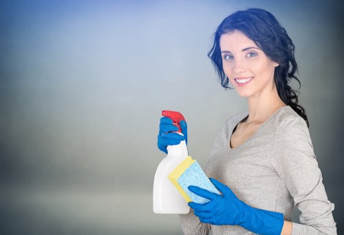 Reliable Pimlico cleaning services for a healthier and more organized space