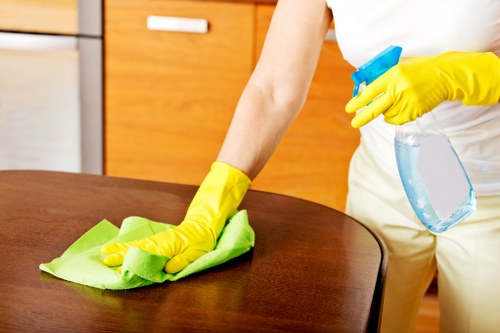 Kitchen cleaning supplies for Pimlico house cleaning
